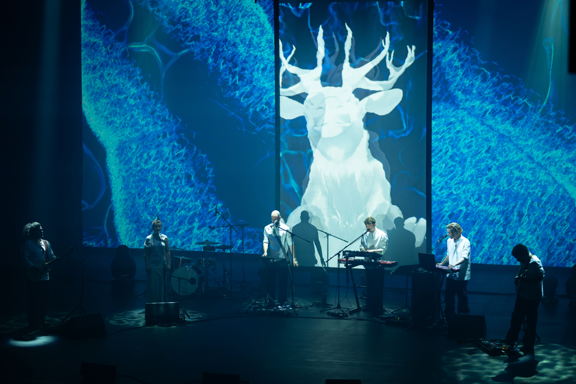 A szarvassá változott fiú kiáltozása a titkok kapujából